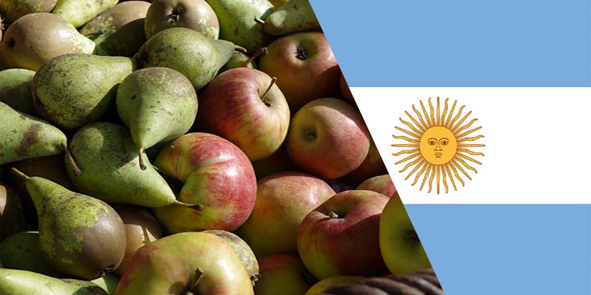 Argentina: cresce l’export di mele e pere